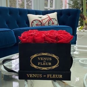 Venus Et Fleur Suede Collection Flowers